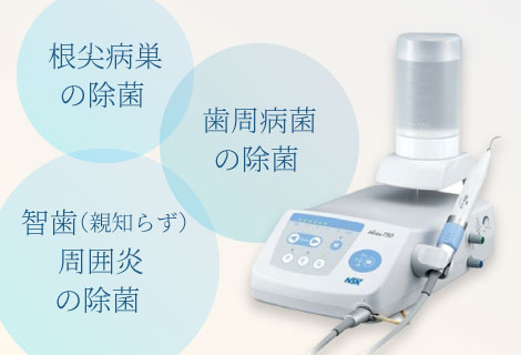 根尖病巣の除菌 、歯周病菌の除菌 、智歯（親知らず）周囲炎の除菌