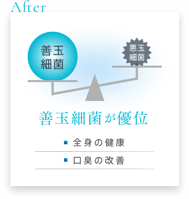 善玉細菌が優位：全身の健康、口臭の改善