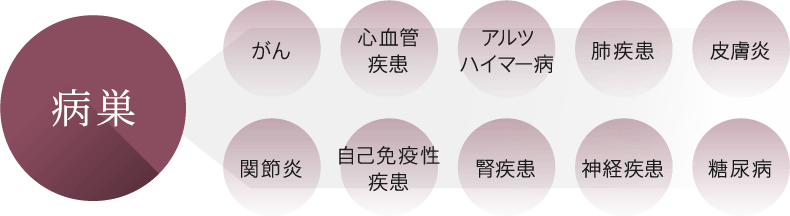 がん、心血管疾患、アルツハイマー病、肺疾患、皮膚炎、関節炎、自己免疫性疾患、腎疾患、神経疾患、糖尿病